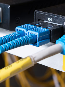 LAN_Solution_Purple_Section_12042024