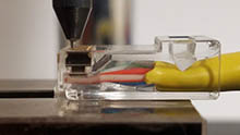 RJ45 Connector Punch